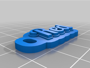 personalizzato multilinea etichetta portachiavi 3d print model - Mito3D