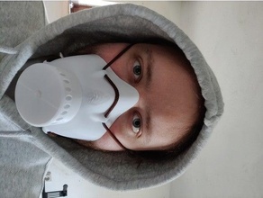 Gesicht Maske Respirator Schutz Atemwege 3d print model - Mito3D