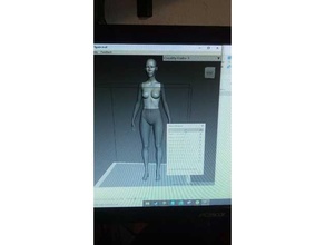 maniqui mujer 3d print model - Mito3D