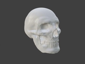 calavera licuadora craneo crealidad crealityender3 ender3 ender3pro esqueleto miniatura esculpido escultura cráneo 3d print model - Mito3D