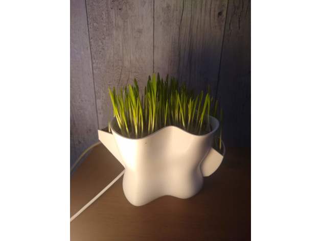 abstrait plante pot 3D print model - Mito3D
