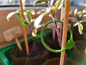 Pflanze wachsend Clip Bindemittel wachsen 3d print model - Mito3D