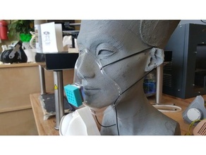 visage masque vide formé proof of concept 3d print model - Mito3D