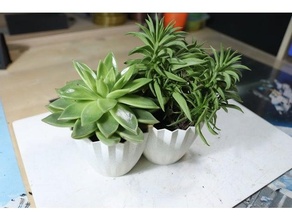 plante pot 3d print model - Mito3D