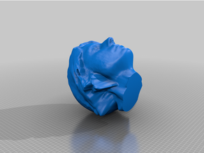 scan head 3d print model - Mito3D
