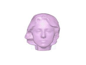 scan head head