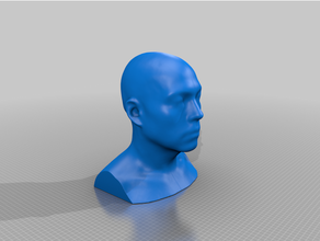 3d humano cabeza escanear 3d print model - Mito3D