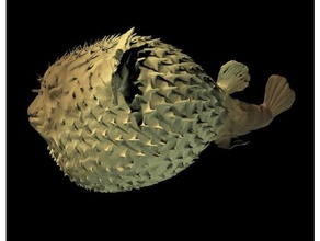 puffer fish lamp 3d print model - Mito3D