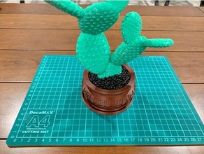 weird cactus 3d print model - Mito3D
