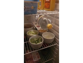2 litre bottle fridge hanger household refrigerator soda storage water 3d print model - Mito3D