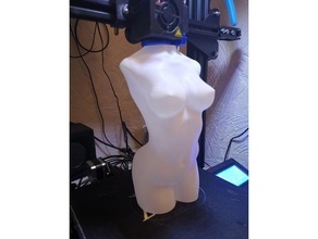 mulher corpo vaso modo rega 3d print model - Mito3D