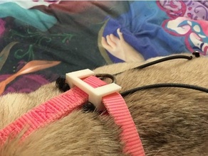 molly pannolino clip gatto cane piccolo bretelle 3d print model - Mito3D