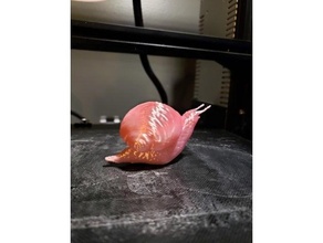 snail 3d print model - Mito3D