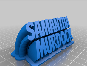 murdock smy customized sweeping 2-line plate text 3d print model - Mito3D