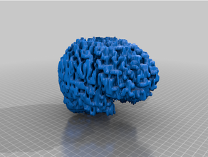 Gehirn umgewandelt mri Scan 3d print model - Mito3D