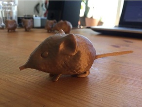 elefante megera fofa macroscelidea rato roedor Ruesselspringer rsselspringer rssi 3d print model - Mito3D
