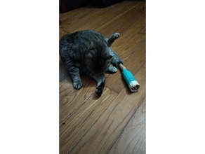 Evcil Hayvan kuyruk koruyucu kedi sağlık protezler kurtarma protez yara 3d print model - Mito3D