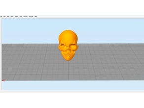 skull winkl accessories human 3d print model - Mito3D