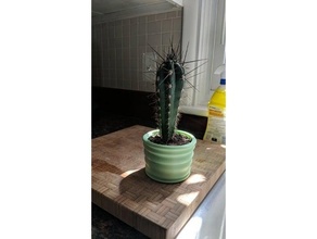 pot cactus tasse 3d print model - Mito3D