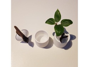 tagli radice tazza in crescita talee fioriera fioriere pentola 3d print model - Mito3D