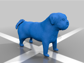 Hund maltesisch Chichu 3d print model - Mito3D