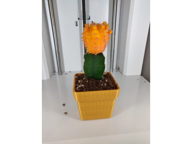 cactus pot 3D print model - Mito3D