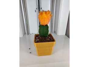 cactus pot 3d print model - Mito3D