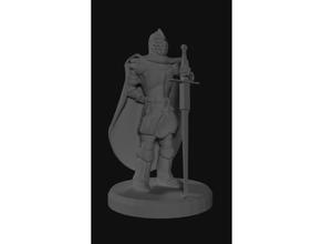 noble paladin miniature armor dd dungeons dragons fighter knight sword tabletop warrior 3d print model - Mito3D