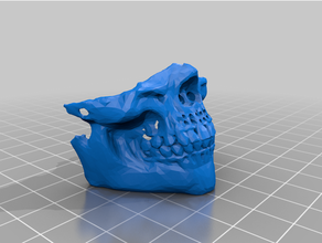 skull dusk mask 3d print model - Mito3D