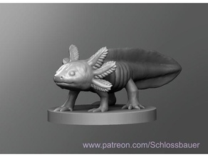 axolotl dnd masmorras dragões tampo mesa 3d print model - Mito3D