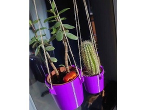 hanging pot cactus planter flower plant 3d print model - Mito3D