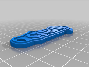 customized multiline tag keychain green graycharly 3d print model - Mito3D
