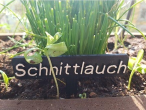 bahçe işaretleri Deutsch Bahçe işaretler Almanca Basilikum Acı biber Dereotu gart işareti sağlıklı havuçlar Kişniş Kossel Lovestoeckel Majoran nane zeytin otu kekik Petersilie Radieschen kadife çiçeği Rucola namaz okul 3d print model - Mito3D