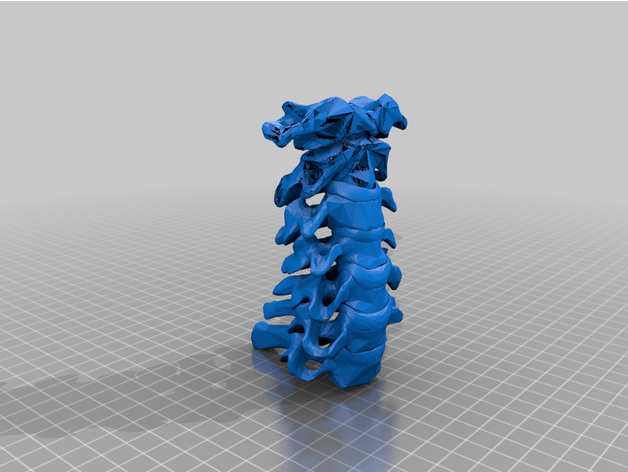 cervicale vertebre 3D print model - Mito3D