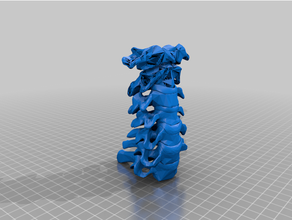 cervical vértebras 3d print model - Mito3D