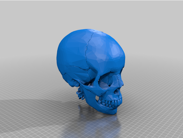 skull 3D print model - Mito3D