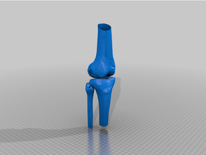 rodilla articulación 3d print model - Mito3D