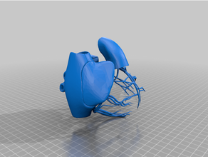corazón valvulas 3d print model - Mito3D