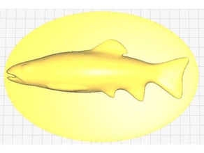 montato trota pesce pesca placca trofeo 3d print model - Mito3D