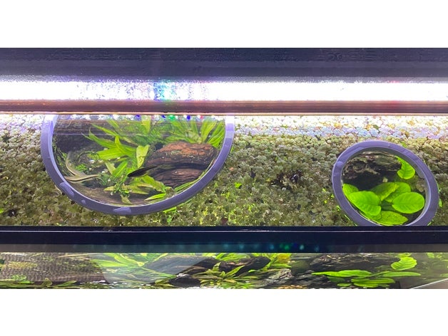 floating aquarium ring fish tank live plants 3D print model - Mito3D