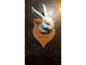 montado conejito cabeza trofeo gato Conejo 3d print model - Mito3D