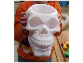 skull planter 3d print model - Mito3D