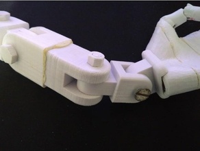 wrist double joint arm articulated jointed 3d print model - Mito3D