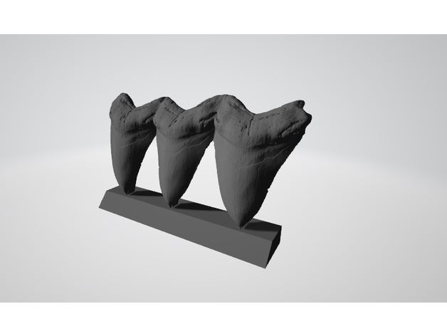 dientes megalodon - tooth shark white 3D print model - Mito3D