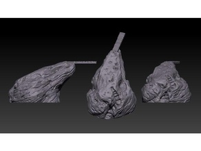 kurbağa Kaya köprü masaüstü oyun dnd yol bulucu arazi 3d print model - Mito3D