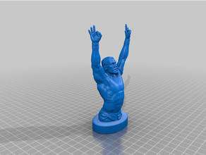 john cena wwe raw anatomy johncena wrestling wwf 3d print model - Mito3D