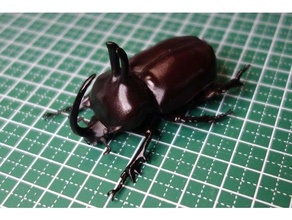 eupatorus birmanicus beetle insect 3d print model - Mito3D