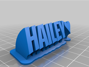 personnalisé balayage 2 line assiette hailey 3d print model - Mito3D