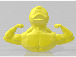 cohesive muscle duck arm bicep body chest ducks human 3d print model - Mito3D