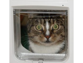 automatic cat flap arduino nano 3d print model - Mito3D